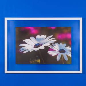 Dobbeltglas-billedramme