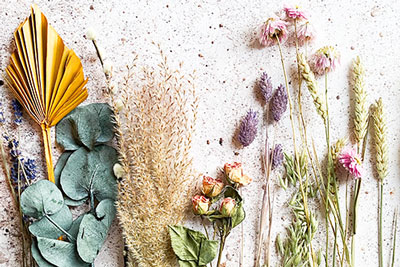 Blomsterpresning og indramning af tørrede blomster og blade